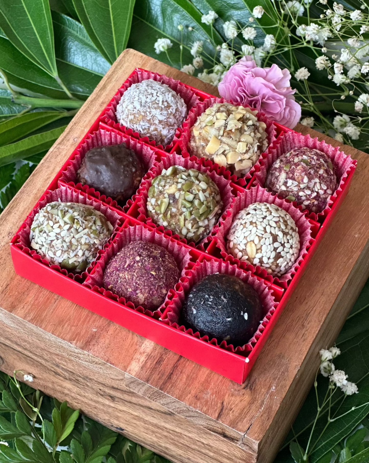 Protein Ball Package of 9